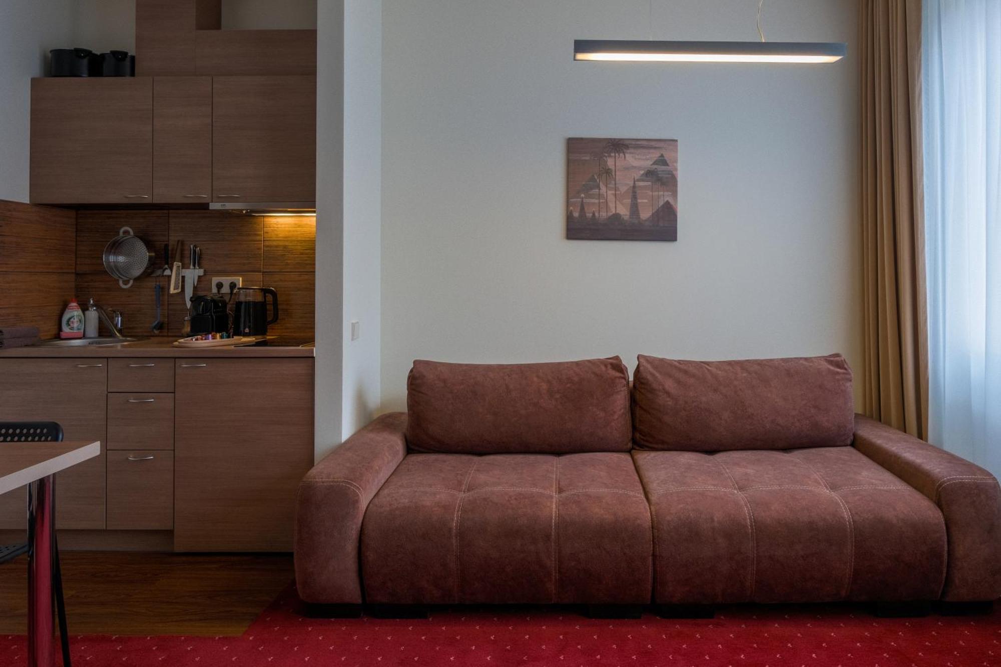 Agneta Apartamentai Druskininkai Buitenkant foto